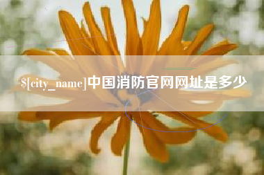 东营中国消防官网网址是多少