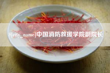 东营中国消防救援学院副院长