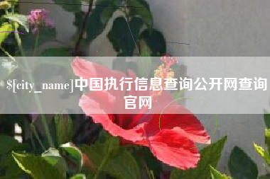 东营中国执行信息查询公开网查询官网