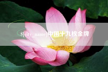 东营中国十九枚金牌