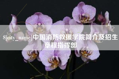 东营中国消防救援学院简介及招生章程指挥部