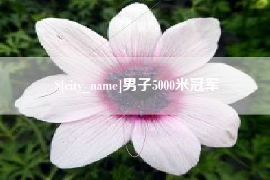 东营男子5000米冠军