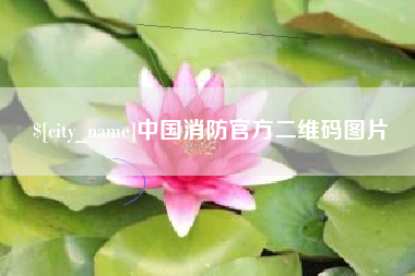 东营中国消防官方二维码图片
