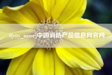 东营中国消防产品信息网官网