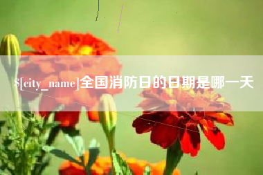 东营全国消防日的日期是哪一天