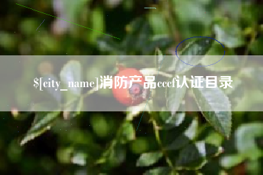 东营消防产品cccf认证目录