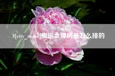 东营奥运金牌榜是怎么排的