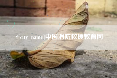 东营中国消防救援教育网