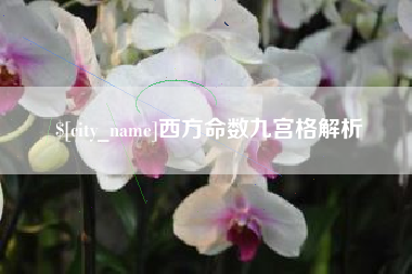 东营西方命数九宫格解析