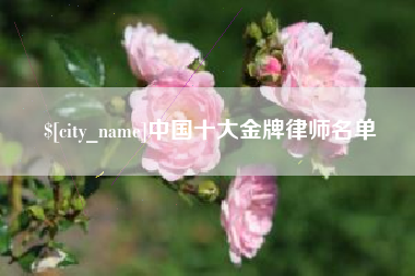 东营中国十大金牌律师名单