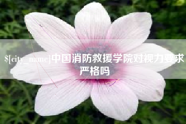 东营中国消防救援学院对视力要求严格吗