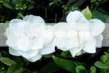 东营现在中国金牌是多少