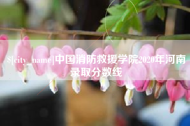 东营中国消防救援学院2020年河南录取分数线