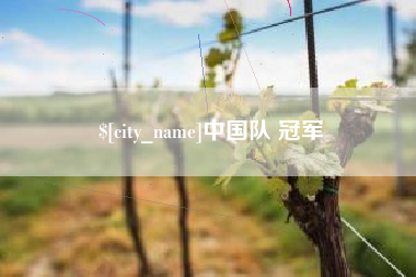 东营中国队 冠军