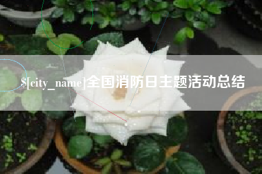 东营全国消防日主题活动总结