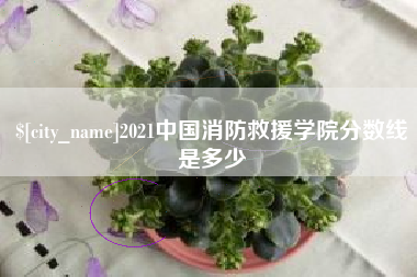 东营2021中国消防救援学院分数线是多少