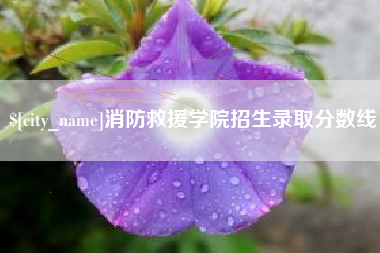 东营消防救援学院招生录取分数线
