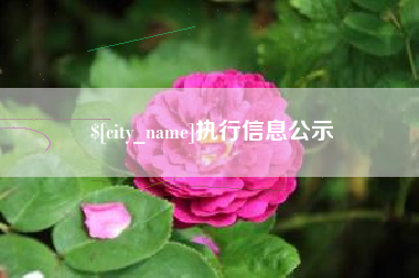 东营执行信息公示