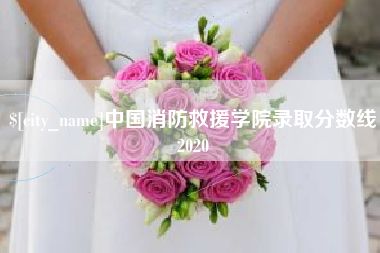 东营中国消防救援学院录取分数线2020