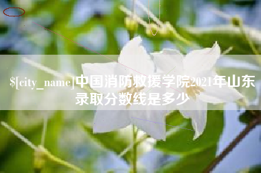东营中国消防救援学院2021年山东录取分数线是多少
