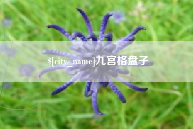 东营九宫格盘子