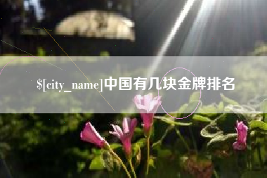 东营中国有几块金牌排名