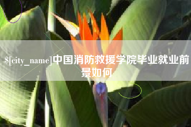 东营中国消防救援学院毕业就业前景如何