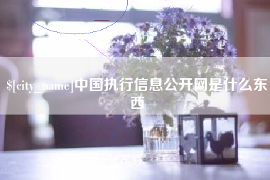 东营中国执行信息公开网是什么东西