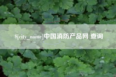 东营中国消防产品网 查询