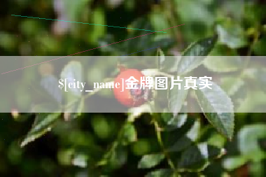 东营金牌图片真实