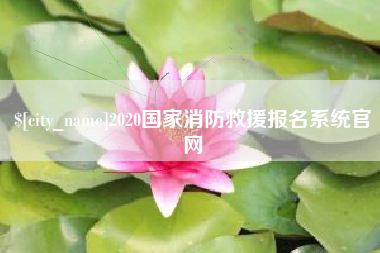 东营2020国家消防救援报名系统官网