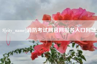 东营消防考试网官网报名入口网址