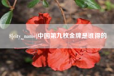 东营中国第九枚金牌是谁得的
