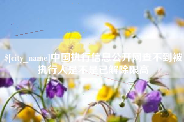 东营中国执行信息公开网查不到被执行人是不是已解除限高