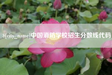 东营中国消防学校招生分数线代码
