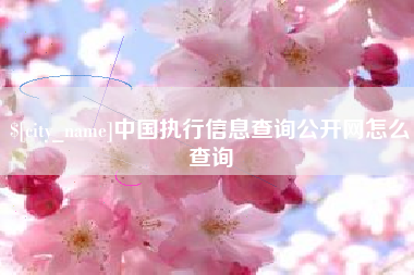 东营中国执行信息查询公开网怎么查询
