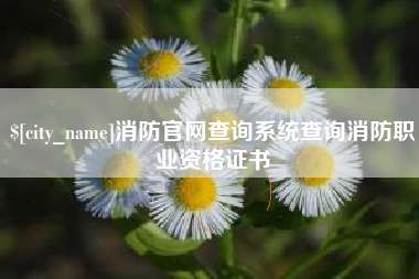 东营消防官网查询系统查询消防职业资格证书