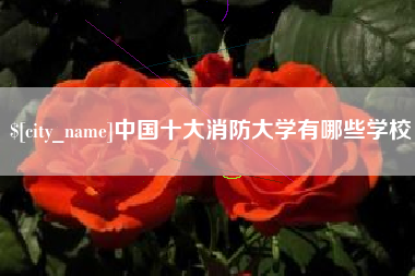 东营中国十大消防大学有哪些学校