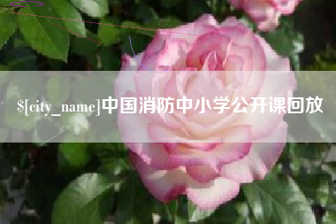 东营中国消防中小学公开课回放