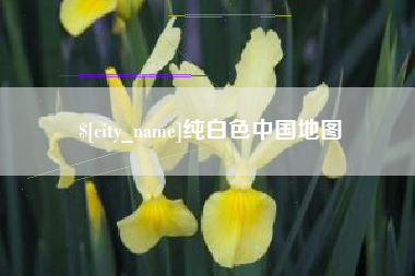 东营纯白色中国地图