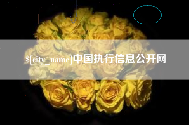 东营中国执行信息公开网