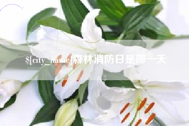 东营森林消防日是哪一天