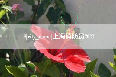 东营上海消防员2021