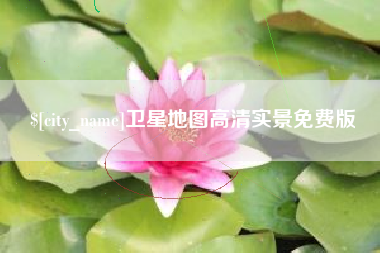 东营卫星地图高清实景免费版