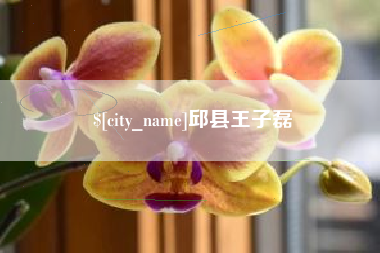 东营邱县王子磊