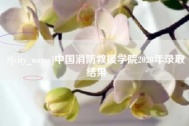 东营中国消防救援学院2020年录取结果