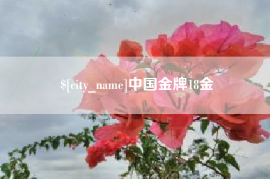 东营中国金牌18金