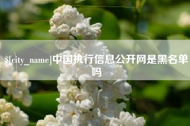东营中国执行信息公开网是黑名单吗