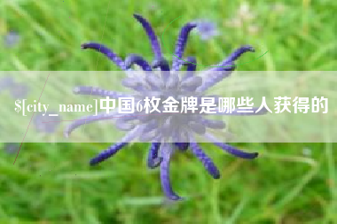 东营中国6枚金牌是哪些人获得的