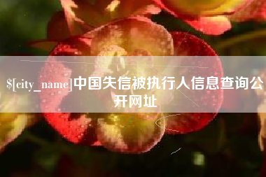 东营中国失信被执行人信息查询公开网址